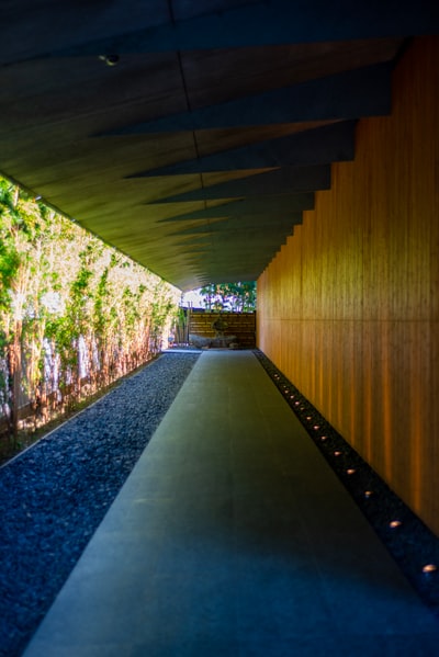 Brown wooden corridor with green plants
